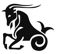 Signo Capricornio